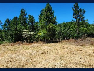 Foto 5 de ¡Oportunidad Única en San Martín, Misiones!   Ventas de Terrenos en B° KM21, Colonia  Finlandesa    A solo 150 m de la Ruta N° 103.