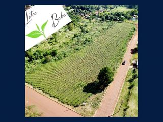 Foto 4 de ¡Oportunidad Única de Inversión en Campo Grande, Misiones!  Ventas de Loteo/Terrenos en Barrio Microcentro.