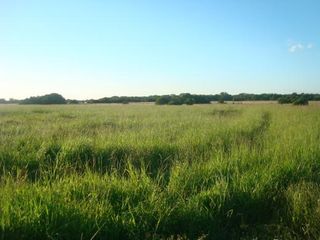 Campo de 4000 has con o sin animales