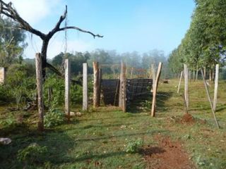 Foto 3 de Campo de 450 has en San Gotardo, Misiones