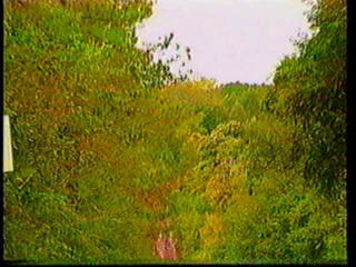 Foto 1 de Campo de 450 has en San Gotardo, Misiones