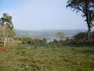 Foto 2 de Campo de 450 has en San Gotardo, Misiones