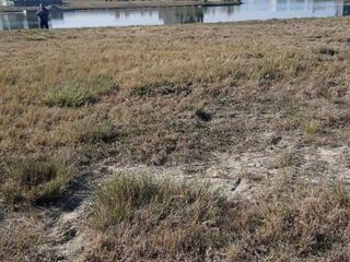 Foto 10 de Terreno en venta - 1170mts2 - Barrio San Sebastián - Escobar
