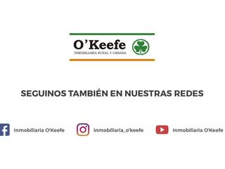 Foto 18 de Departamento 2 ambientes en venta - Quilmes - APTO CREDITO.  a estrenar