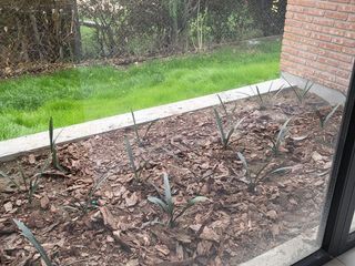 Foto 13 de Casa a estrenar en Sauces del Limay