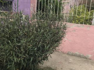 Foto 5 de Casa - El Talar