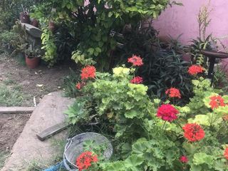 Foto 12 de Casa - El Talar