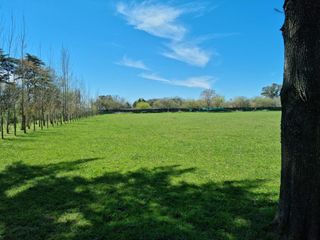 Foto 10 de Terreno venta  4185.53mts2 totales  - Estancia Las Malvinas