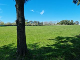 Foto 11 de Terreno venta  4185.53mts2 totales  - Estancia Las Malvinas
