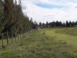 Foto 8 de Terreno venta  4185.53mts2 totales  - Estancia Las Malvinas