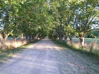 Foto 3 de Terreno venta  4185.53mts2 totales  - Estancia Las Malvinas
