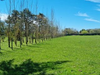 Foto 1 de Terreno venta  4185.53mts2 totales  - Estancia Las Malvinas