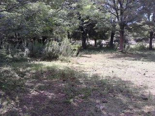Foto 2 de Venta Lote - Ruta 9 30500 - El Trapiche - San Luis