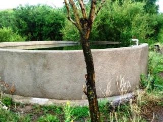 Foto 6 de Venta Campo 47 hectáreas - Ruta 2 - San Martín - San Luis