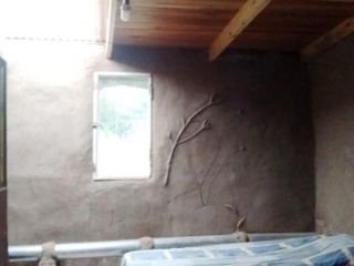 Foto 2 de Venta Campo 47 hectáreas - Ruta 2 - San Martín - San Luis