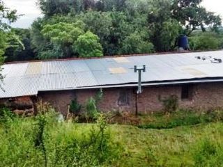 Foto 1 de Venta Campo 47 hectáreas - Ruta 2 - San Martín - San Luis