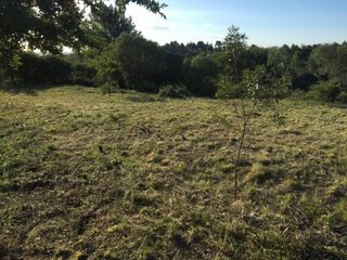Foto 5 de Terreno 3500 m² Barrio La Loma en La Cumbre