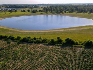 Foto 3 de OPORTUNIDAD CAMPO EN VENTA EN $$COLONIA TATACUA CORRIENTES