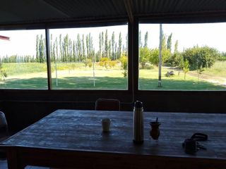 Foto 4 de Campo totalmente armado con viviendas equipadas - General Alvear-Mendoza