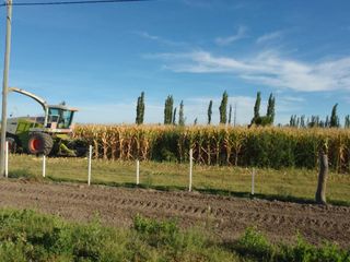 Foto 1 de Campo totalmente armado con viviendas equipadas - General Alvear-Mendoza