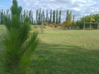 Foto 6 de Campo totalmente armado con viviendas equipadas - General Alvear-Mendoza