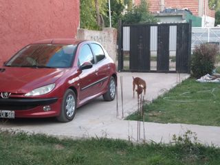 Foto 19 de Casa en venta - 2 Dormitorios 2 Baños - Cochera - 235Mts2 - Berazategui