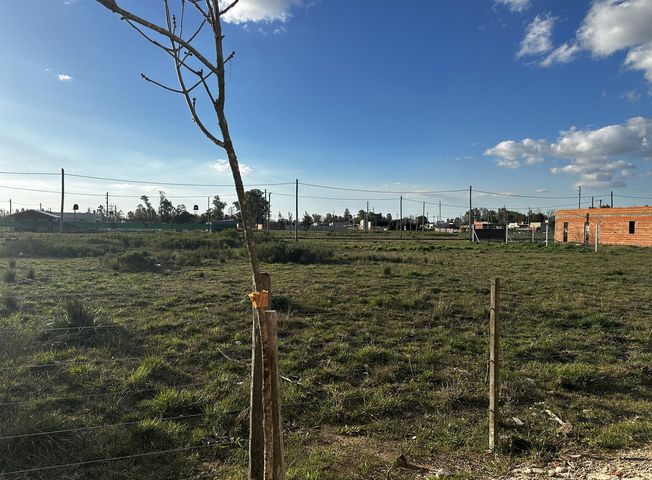 place photo 17