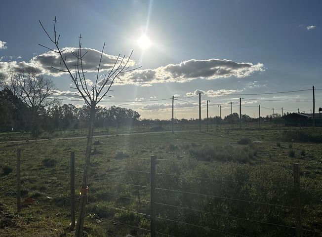 place photo 15