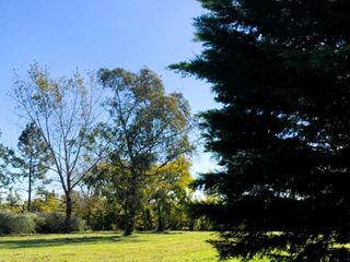 Foto 8 de Terreno en Casuarinas Del Pilar - Pilar del Este