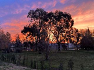 Foto 5 de Terreno en Casuarinas Del Pilar - Pilar del Este