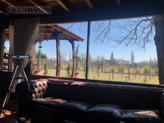 Foto 23 de Casa rural con alma de finca. a 4 km de la capital. Mendoza. Rivadavia. terreno 8000 m2