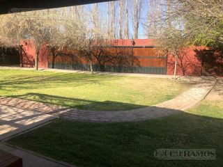 Foto 61 de Casa rural con alma de finca. a 4 km de la capital. Mendoza. Rivadavia. terreno 8000 m2