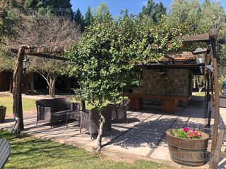 Foto 51 de Casa rural con alma de finca. a 4 km de la capital. Mendoza. Rivadavia. terreno 8000 m2