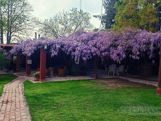 Foto 59 de Casa rural con alma de finca. a 4 km de la capital. Mendoza. Rivadavia. terreno 8000 m2