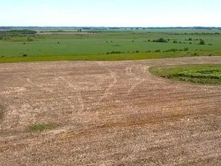 Foto 4 de Campo en Fco. Berra, Monte, Bs. As.