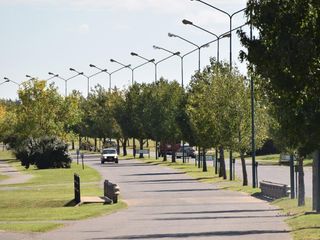 Foto 4 de Hermoso lote interno en Santa Elisa - Pilar del Este