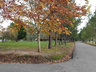 Foto 10 de Terreno en venta - 1200 mts2 - Club Miralagos [FINANCIADO]
