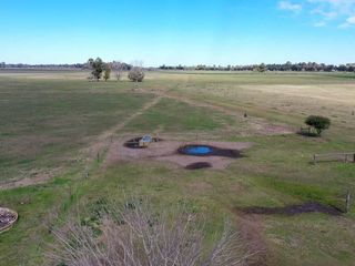 Foto 10 de Campo de 77 hectáreas con mejoras en Abbott, San Miguel del Monte