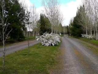 Foto 30 de Terreno en venta - 1.000mts2 - El Retiro, Coronel Brandsen