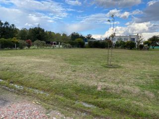 Foto 6 de Terreno en venta - 810 mts2 - Santo Domingo
