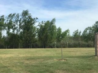 Foto 3 de Lote en venta - El Naudir