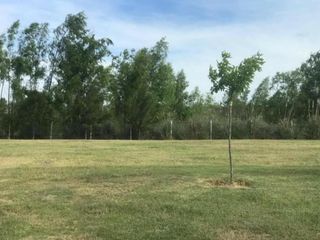 Foto 4 de Lote en venta - El Naudir