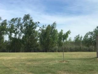 Foto 2 de Lote en venta - El Naudir