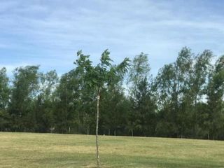Foto 5 de Lote en venta - El Naudir