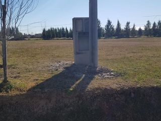 Foto 4 de Terreno en venta - 1100mts2 - Coronel Brandsen