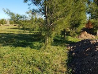 Foto 2 de Terreno en venta - 1100mts2 - Coronel Brandsen