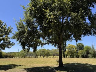 Foto 3 de Terreno en  Venta en Estancias Golf, Estancias del Pilar