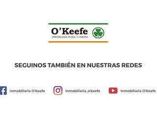 Foto 20 de Departamento en venta  2 amb con cochera - Bernal. Apto Crédito!