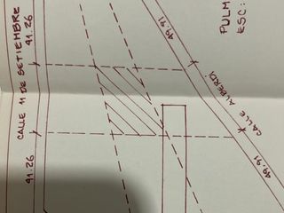 Foto 6 de Venta Lote para emprendimiento / Pilar Centro
