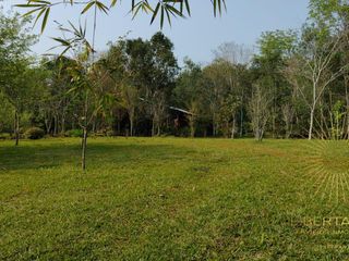 Foto 5 de *¡Oportunidad única en El Soberbio, Misiones!*